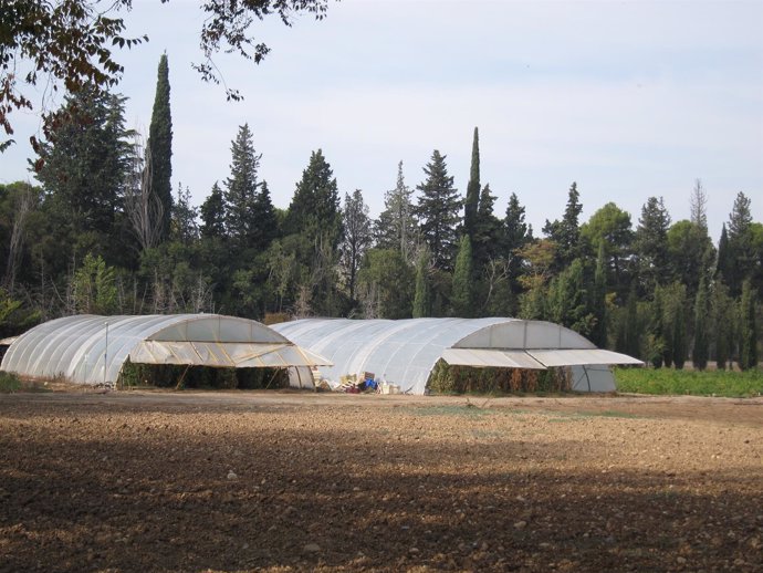 Finca Experimental Del CITA