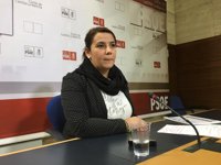 PSOE dice a IU que la investigación en Bruselas por el incendio de Chiloeches es un trámite