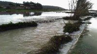 Los agricultores estiman unos 7 millones de euros en pérdidas tras las inundaciones