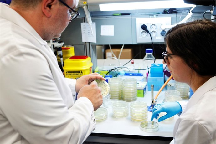 Laboratorio