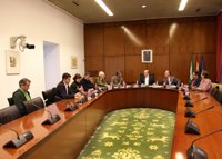 El presidente de la comisión de formación retrasa su dictamen