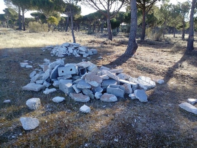 Pinar de Aldeamayor de San Martín. 