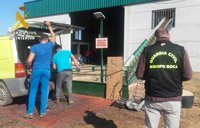 Detenido el dueño de un punto de compraventa de aceitunas en Villalba (Badajoz) por recibir producto robado