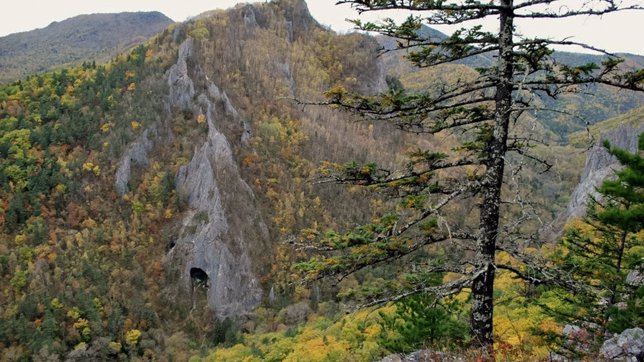 Acceso a la cueva donde se hallaron los restos analizados