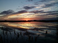 Las Tablas de Daimiel celebra el Día de los Humedales con un concurso de fotografía 