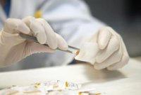 España es uno de los países europeos con "mejores condiciones" para la investigación de nuevos fármacos contra el cáncer