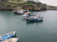 El viento no afecta a la pesca asturiana, que mantiene la actividad
