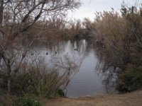 Más de 40 alumnos del IES Francisco Montoya de Las Norias conocen el Paraje Punta Entinas Sabinar, en Almería