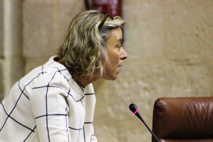 La diputada Isabel Albás en el Parlamento
