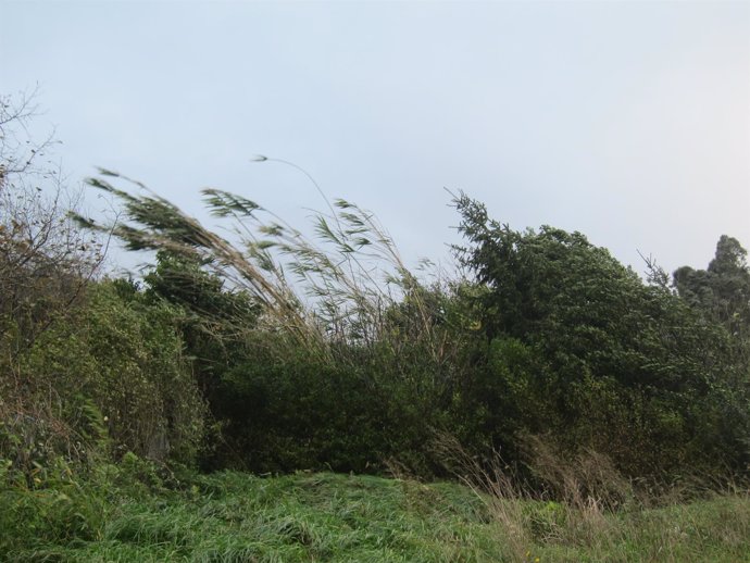 Fuertes rachas de viento