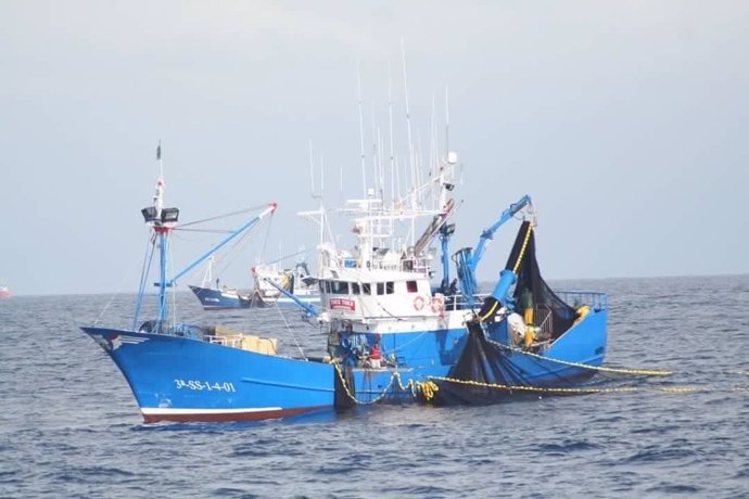 Pesca de sardina en el golfo de Bizkaia 