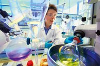 Empresas.- Bayer, entre las compañías más innovadores del mundo según Boston Consultin Group