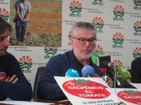 UPA-UCE alerta de una "nueva bajada" de precios del tomate en 2017