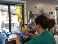 La sanidad pública desarrolla en Málaga 29 proyectos de investigación sobre el cáncer