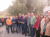 PP, primer grupo político de España en proponer una ley que protege los árboles de más de 200 años de antigüedad