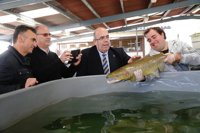 El Centro Ictiológico ha repoblado los ríos cántabros con más de 5 millones de salmones desde 1998