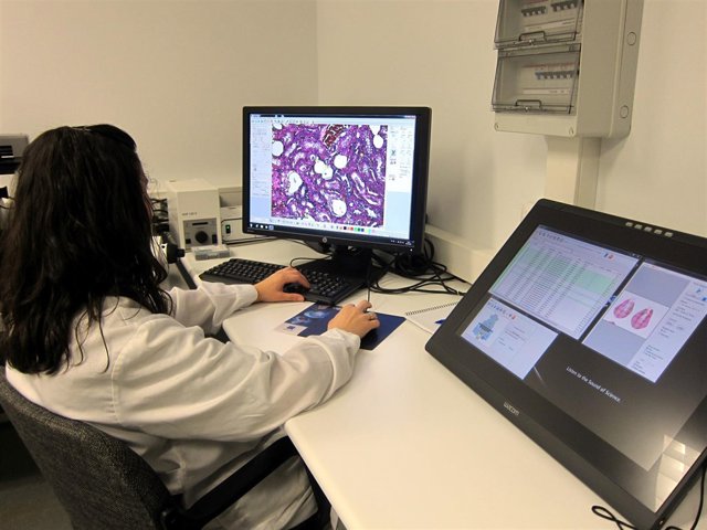  Investigadora En El CIC De Salamanca                           