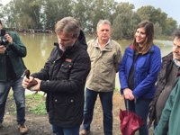 Andalucía alcanza el "récord" de censo de aves de humedales desde 2004 con cerca del millón