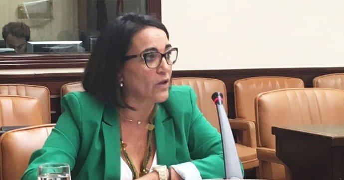 La diputada del PSOE Pepa González Bayo