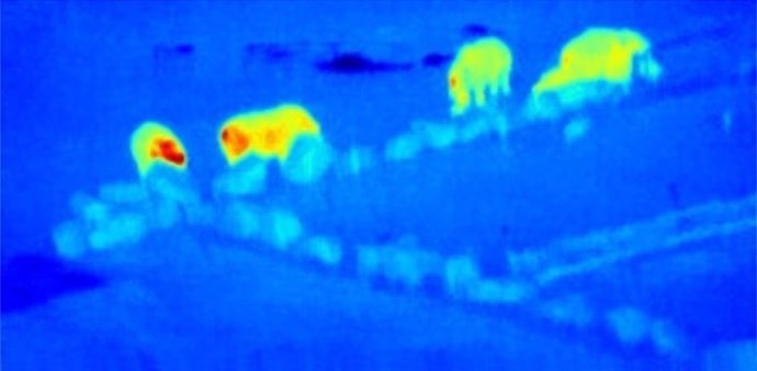 Astrofísicos y ecólogos desarrollan drones con técnicas astronómicas para salvar