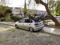 Emergencias recibe más de 300 llamadas por los 227 asuntos atendidos por los fuertes vientos