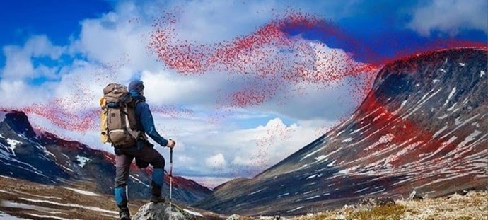 Ropa de montaña Gore-Tex