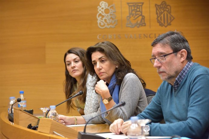 Angélica Such, en el centro de la imagen, durante su comparecencia