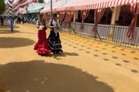 Maeztu pide al Ayuntamiento de Sevilla que la Feria de Abril sea más accesible para personas con movilidad reducida