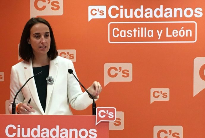 La portavoz de Ciudadanos en el Ayuntamiento de Valladolid, Pilar Vicente