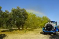 Agrónomos de la Universidad de Córdoba diseñan un sistema para ajustar la dosis de plaguicidas en el olivar