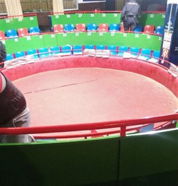 Reñidero ilegal de peleas de gallos desmantelado por la Policía