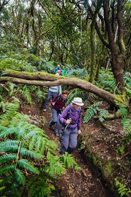 Tenerife Walking Festival