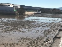 Enero de 2017 fue más frío de lo normal, el cuarto más frío del siglo XXI y ha resultado "seco" en su conjunto