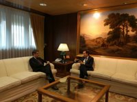 El Gobierno acepta una subasta específica de energía renovable para Baleares