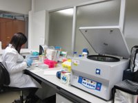 Ibercaja se suma a la celebración del 'Día de la Mujer y la Niña en la Ciencia'