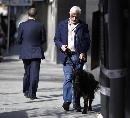 Discapacidad, discapacitado, ciego, personas ciegas con perro guía, lazarillo