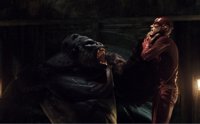 The Flash recibe una inesperada visita de Tierra-2 y prepara su viaje a Gorilla City