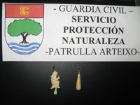 Intervenido en Arteixo (A Coruña) marfil de elefante que se ofertaba a través de Internet