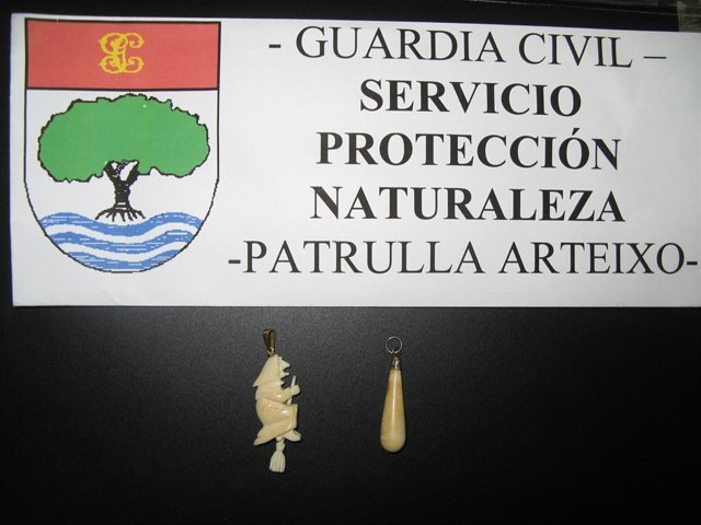 Seprona interviene marfl en Arteixo