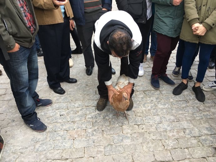 Vecinos con la pava de Cazalilla