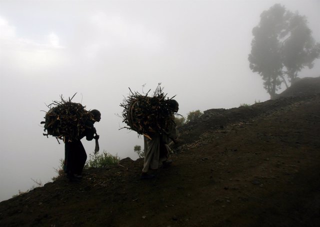 Varias mujeres cargan con madera en el norte de Etiopía.