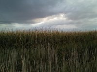 La DPT dedica más de 1,4 millones a políticas de agricultura, ganadería y desarrollo rural