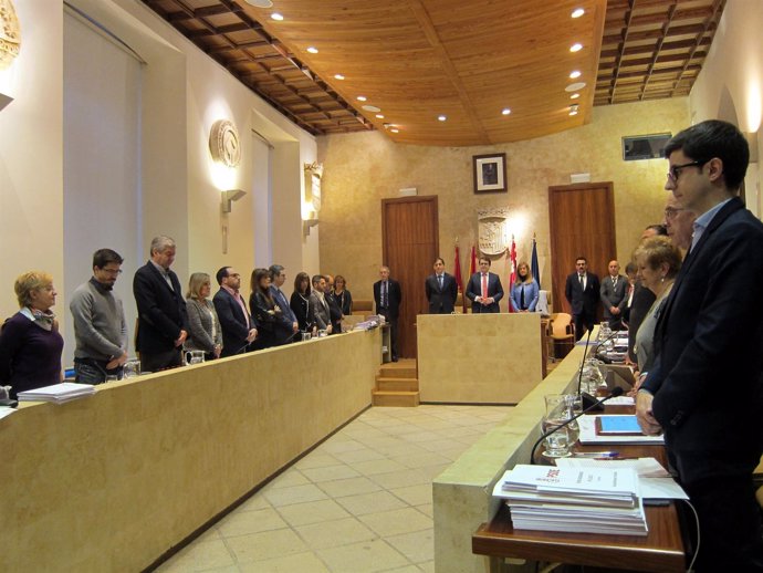   Pleno Del Ayuntamiento De Salamanca                  