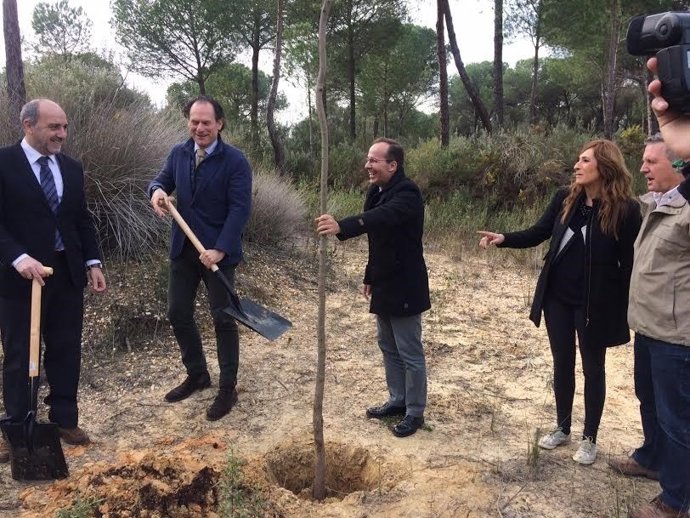 Restauración de zonas húmedas en Doñana.