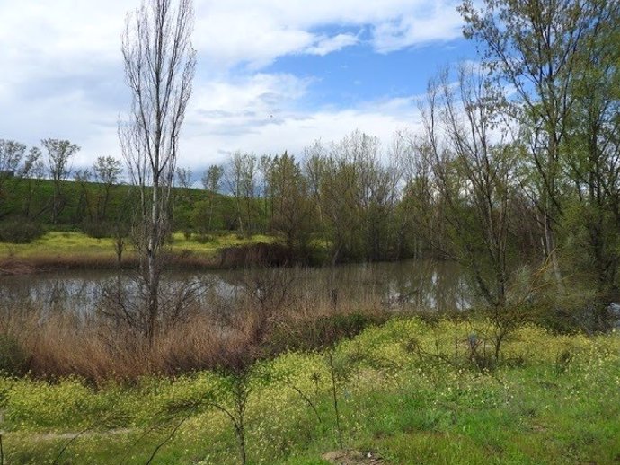 Humedal de los arroyos Meaques y Valchico