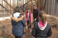 Unos 500 escolares participan en talleres de poda en Almendralejo (Badajoz) para conocer el trabajo vitivinícola