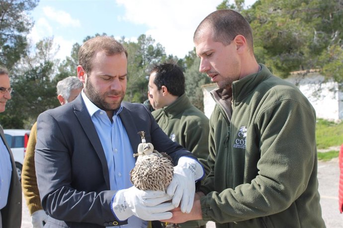 Imagen de la liberación