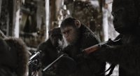 Andy Serkis: "En La Guerra del Planeta de los Simios César busca venganza"