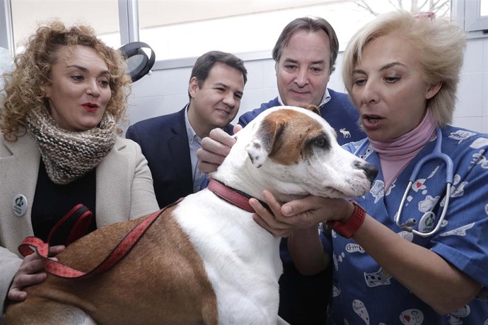 GONZÁLEZ TABOADA VISITA UN CENTRO DE ATENCIÓN ANIMAL CON MOTIVO DE LA ENTRADA EN