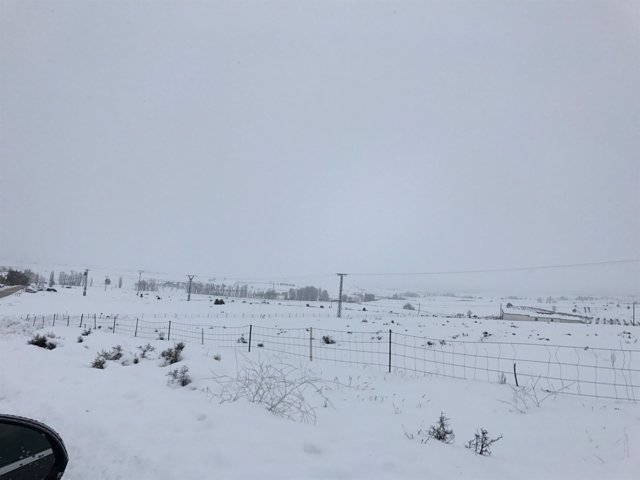 Nieve, nevada, frío, temporal